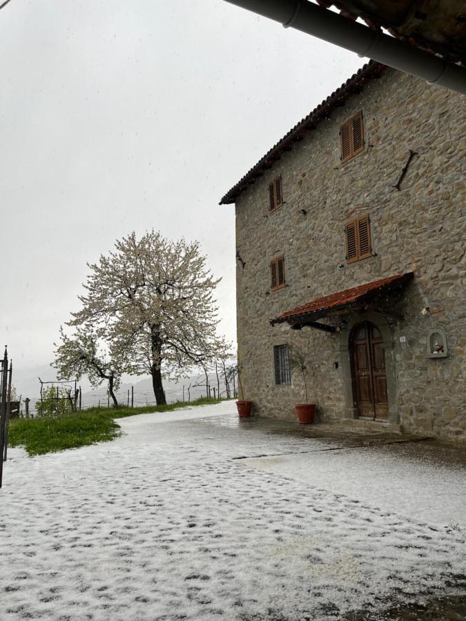 Il Casale Di Rolando Διαμέρισμα Castiglione di Garfagnana Εξωτερικό φωτογραφία