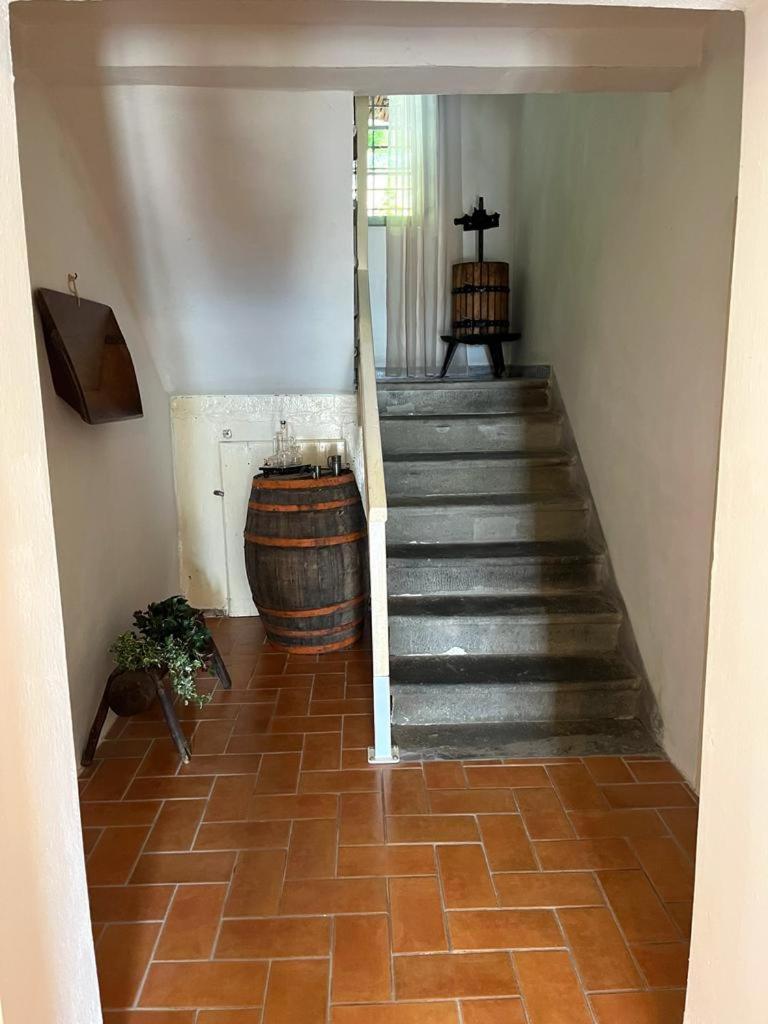 Il Casale Di Rolando Διαμέρισμα Castiglione di Garfagnana Εξωτερικό φωτογραφία